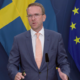 Regeringen vill stärka skyddet för villaområden – tillsätter utredning